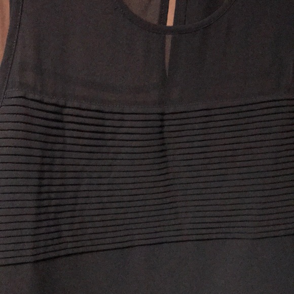 Naked Zebra tank - Picture 5 of 5